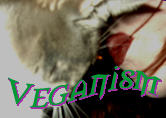 Veganism